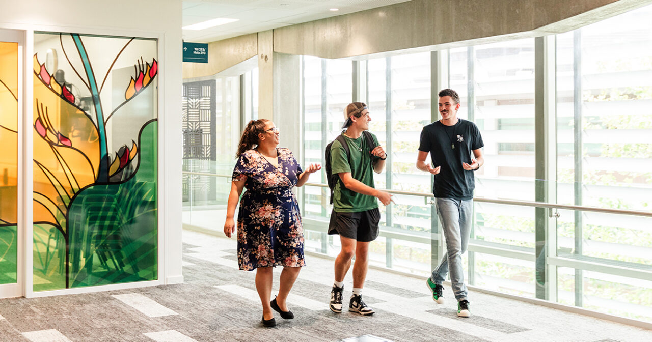 Open Night Auckland